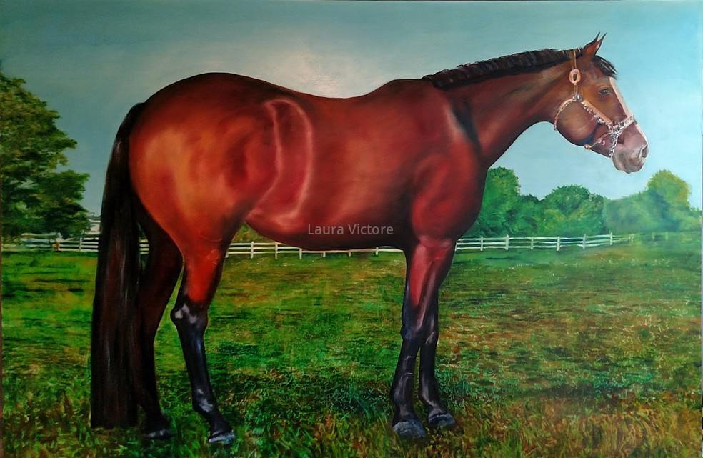 Laura Victore - Equine